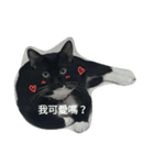 BLACK CUTE CAT BABY（個別スタンプ：5）