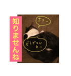 ねこテト＊如月（個別スタンプ：16）