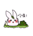 Evan:MoMo Rabbit Life (1)（個別スタンプ：1）