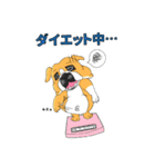 ブルドッグ 犬 むぎちゃん（個別スタンプ：25）