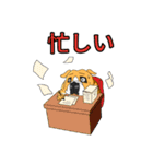 ブルドッグ 犬 むぎちゃん（個別スタンプ：31）