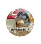 chubby dwarf hamster（個別スタンプ：10）