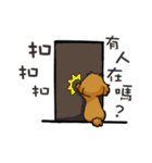 cute puppy LULU everyday（個別スタンプ：4）