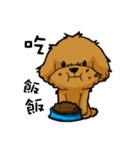 cute puppy LULU everyday（個別スタンプ：6）