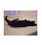 黒猫チョビさんの憂鬱（個別スタンプ：9）