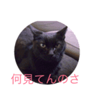 黒猫チョビさんの憂鬱（個別スタンプ：15）