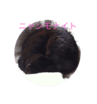 黒猫チョビさんの憂鬱（個別スタンプ：16）