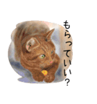 Lovely Cats +1 in The Blog 4（個別スタンプ：30）