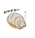 クマムシ tardigrade（個別スタンプ：1）