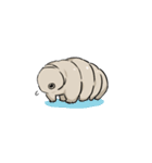 クマムシ tardigrade（個別スタンプ：10）