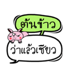 My name is Ton Khao V.2（個別スタンプ：14）