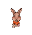 Strong Muscle Rabbit（個別スタンプ：5）