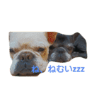 フレブルのしゅうとくぅ（個別スタンプ：3）