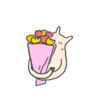 Softie Donkie（個別スタンプ：39）