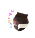 よねごはん3（個別スタンプ：5）