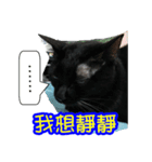 Black Cat's Daily（個別スタンプ：4）