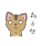 Taiwan Dog-Little Pi（個別スタンプ：12）