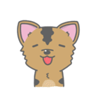 Taiwan Dog-Little Pi（個別スタンプ：14）