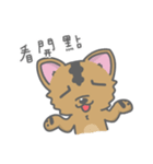 Taiwan Dog-Little Pi（個別スタンプ：24）