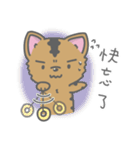 Taiwan Dog-Little Pi（個別スタンプ：29）