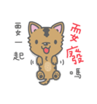 Taiwan Dog-Little Pi（個別スタンプ：35）