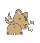 Taiwan Dog-Little Pi（個別スタンプ：38）