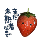 苺★いちご★イチゴ（個別スタンプ：17）