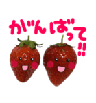 苺★いちご★イチゴ（個別スタンプ：22）