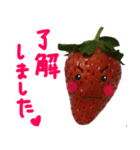 苺★いちご★イチゴ（個別スタンプ：24）