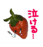 苺★いちご★イチゴ（個別スタンプ：26）