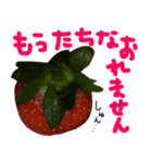 苺★いちご★イチゴ（個別スタンプ：28）