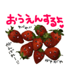 苺★いちご★イチゴ（個別スタンプ：34）