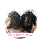 Waiting dogs（個別スタンプ：8）