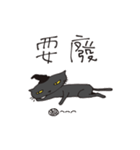 Metamorphosis cats do not want to face.（個別スタンプ：15）