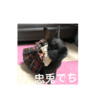 黒うさぎ天（個別スタンプ：29）