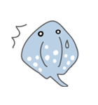 Little spotted ray（個別スタンプ：18）