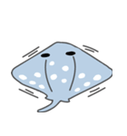 Little spotted ray（個別スタンプ：29）