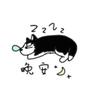 Husky everyday（個別スタンプ：2）