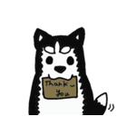 Husky everyday（個別スタンプ：7）