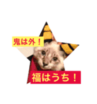 NO CAT！ NO LIFE！（個別スタンプ：5）