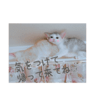 子猫のうにといくらpart2（個別スタンプ：12）