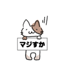 ねこ ホナ©（個別スタンプ：1）