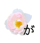 感謝の気持ちに花を♪バラ・セット2（個別スタンプ：10）