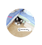 かるちゃんスタンプ（個別スタンプ：2）