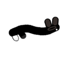 black white socks bunny with move（個別スタンプ：10）