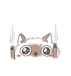 Its cat（個別スタンプ：2）