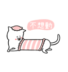 PP kitties（個別スタンプ：12）