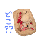 JILLにーちゃんとチビMくん（個別スタンプ：24）