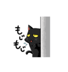 黒猫ピンチスタンプ（個別スタンプ：13）