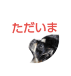 おひなさまと愉快な仲間達（個別スタンプ：10）